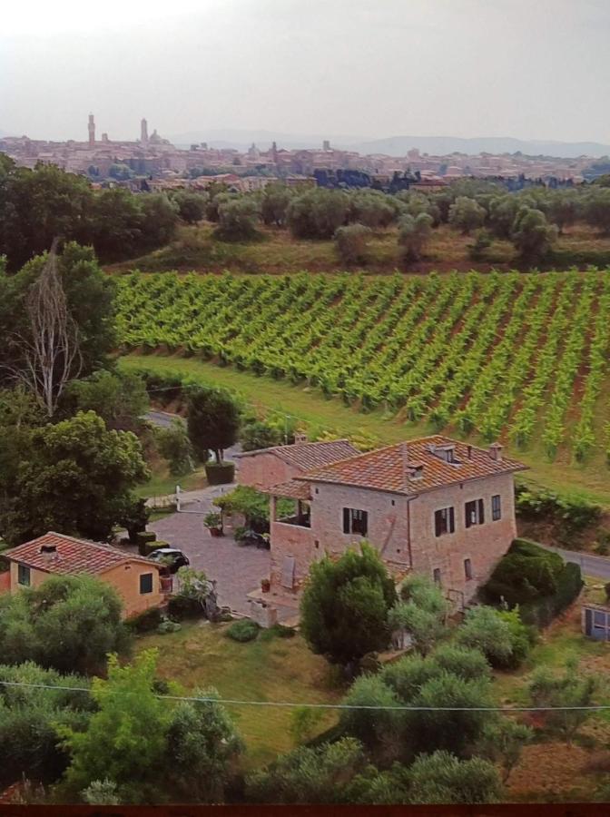 Vignano40 Siena Exterior foto