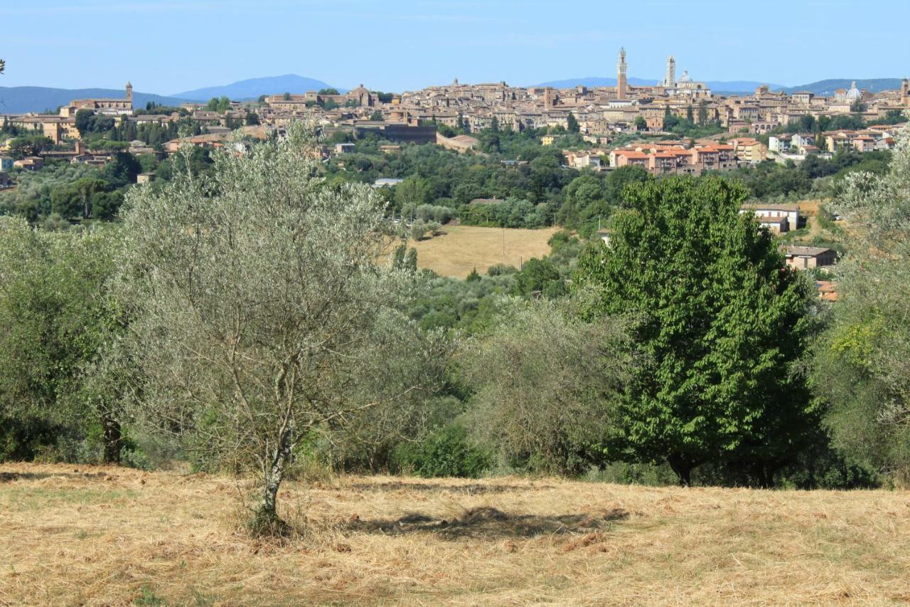 Vignano40 Siena Exterior foto